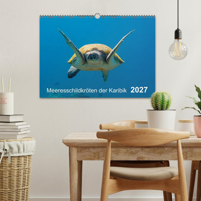 Meeresschildkröten der Karibik (CALVENDO Wandkalender 2027)
