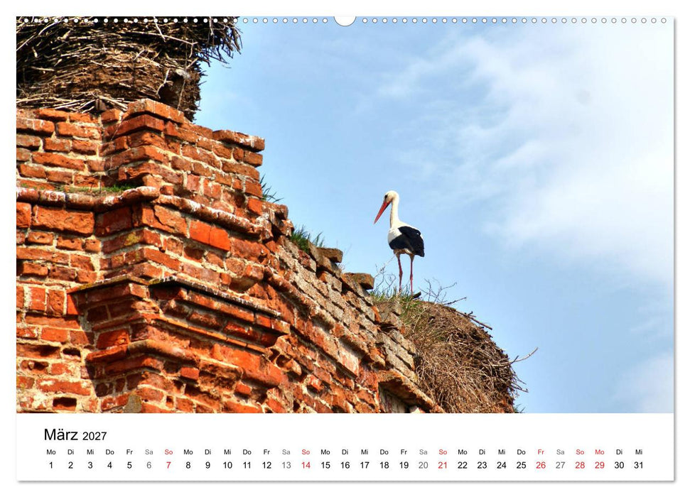 Elchniederung - Naturparadies in Ostpreußen (CALVENDO Wandkalender 2027)