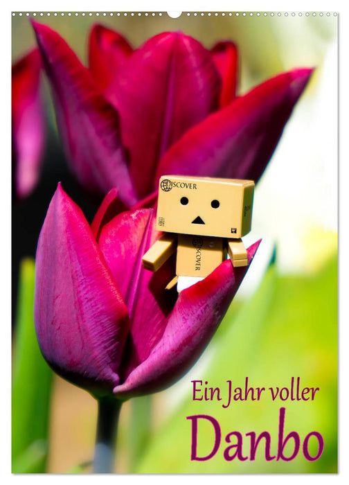 Ein Jahr voller Danbo (CALVENDO Wandkalender 2027)