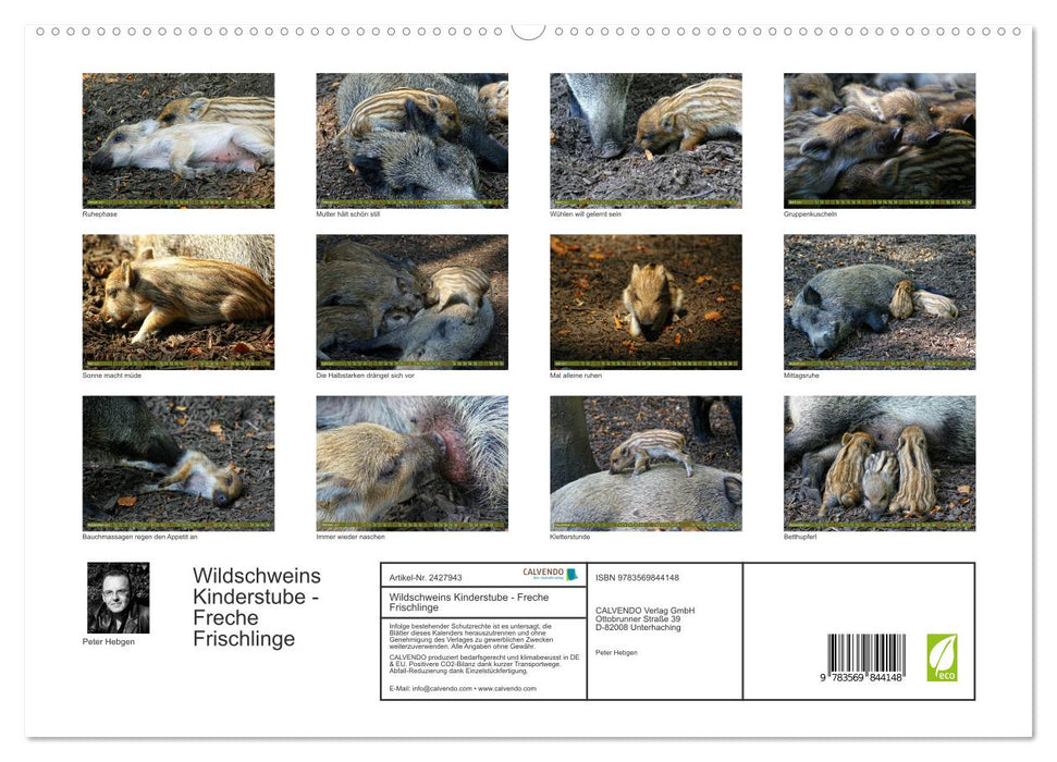 Wildschweins Kinderstube - Freche Frischlinge (CALVENDO Premium Wandkalender 2027)