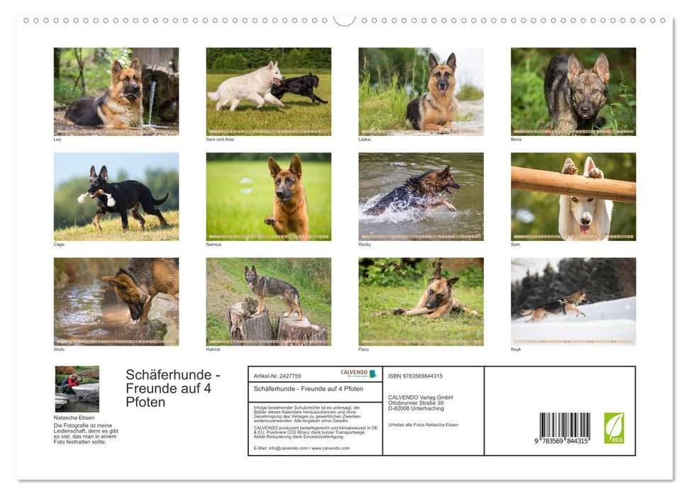 Schäferhunde - Freunde auf 4 Pfoten (CALVENDO Premium Wandkalender 2027)