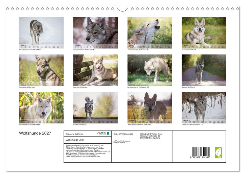 Wolfshunde 2027 (CALVENDO Wandkalender 2027)