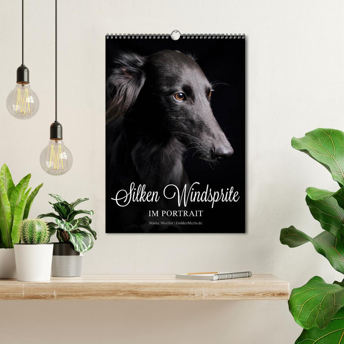 Silken Windsprite im Portrait (CALVENDO Wandkalender 2027)