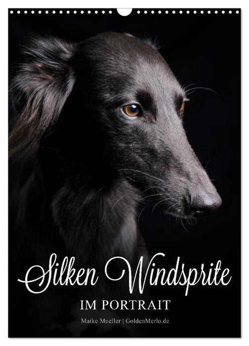 Silken Windsprite im Portrait (CALVENDO Wandkalender 2027)