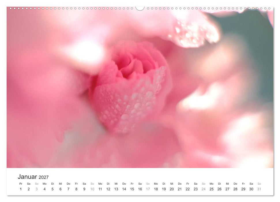 Kirschblütentraum (CALVENDO Premium Wandkalender 2027)