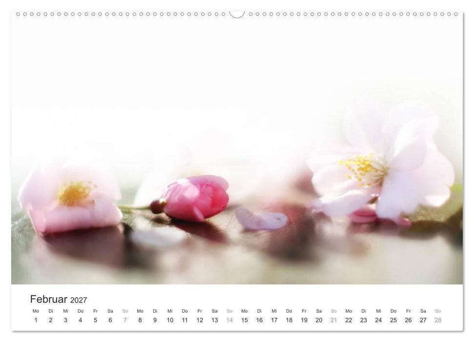 Kirschblütentraum (CALVENDO Premium Wandkalender 2027)