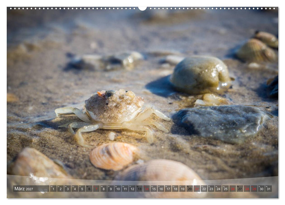 Hooksiel im Friesland (CALVENDO Wandkalender 2027)
