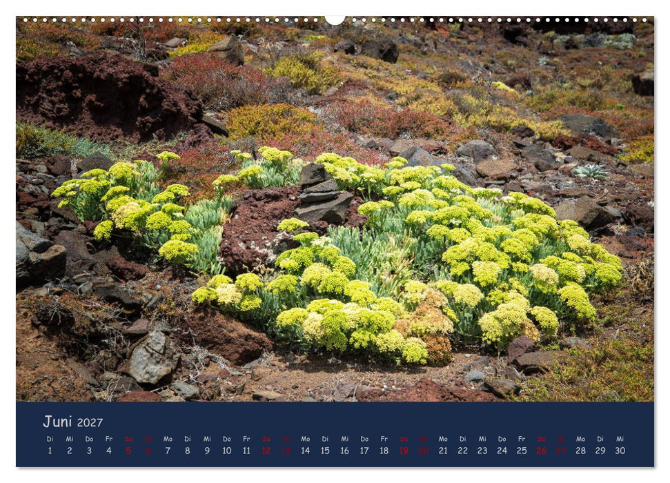 Naturwunder Madeira (CALVENDO Wandkalender 2027)