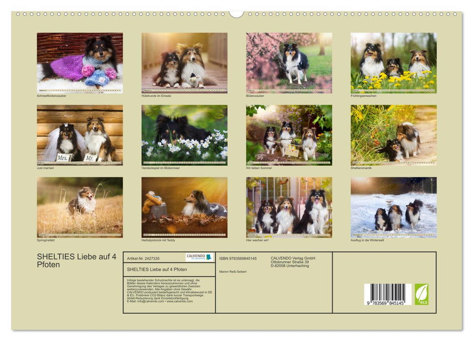 SHELTIES Liebe auf 4 Pfoten (CALVENDO Premium Wandkalender 2027)
