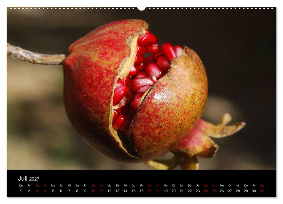 Erfrischend fruchtig (CALVENDO Premium Wandkalender 2027)