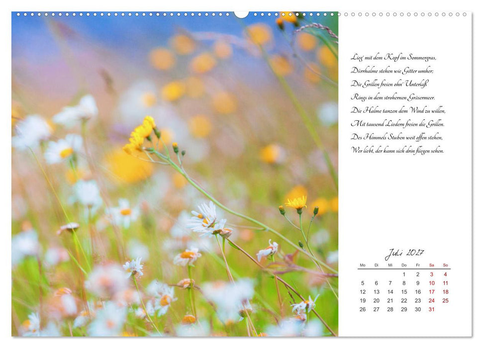 Max Dauthendey - Mit der Natur durchs Jahr (CALVENDO Premium Wandkalender 2027)