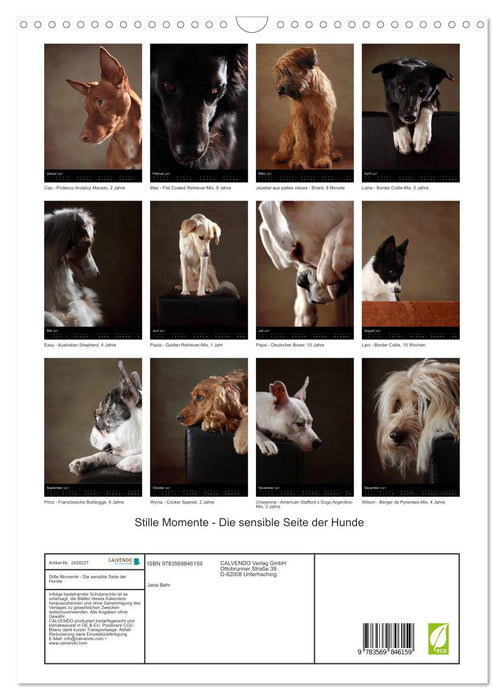 Stille Momente - Die sensible Seite der Hunde (CALVENDO Wandkalender 2027)