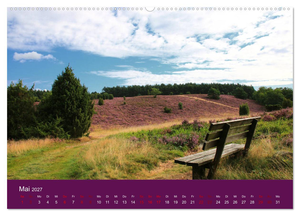 Die Heide blüht (CALVENDO Premium Wandkalender 2027)