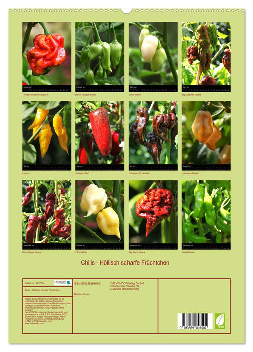 Chilis - Höllisch scharfe Früchtchen (CALVENDO Premium Wandkalender 2027)