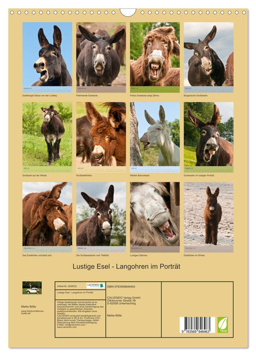 Lustige Esel - Langohren im Porträt (CALVENDO Wandkalender 2027)