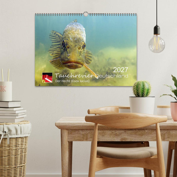 Tauchrevier Deutschland - Der Hecht (Esox lucius) (CALVENDO Wandkalender 2027)