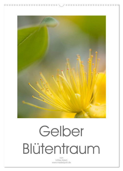 Gelber Blütentraum (CALVENDO Wandkalender 2027)