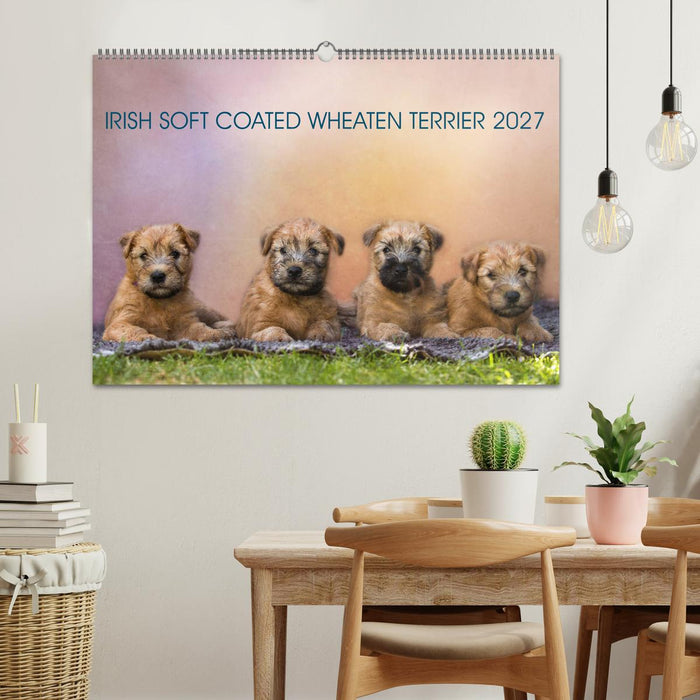 IRISH SOFT COATED WHEATEN TERRIER 2027 (CALVENDO Wandkalender 2027)