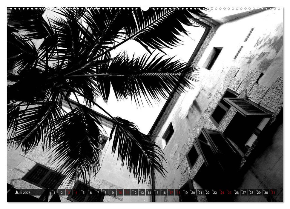 Mallorca monochrom (CALVENDO Premium Wandkalender 2027)