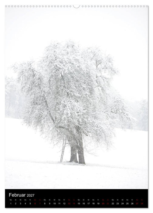 Bäume - Stilles Leben (CALVENDO Wandkalender 2027)