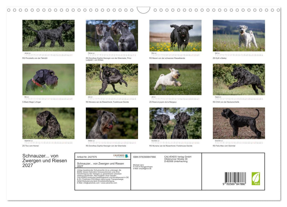 Schnauzer... von Zwergen und Riesen 2027 (CALVENDO Wandkalender 2027)