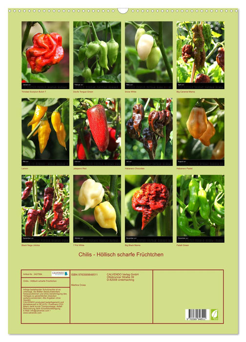 Chilis - Höllisch scharfe Früchtchen (CALVENDO Wandkalender 2027)