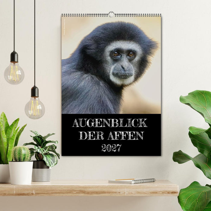 Augenblick der Affen 2027 (CALVENDO Wandkalender 2027)