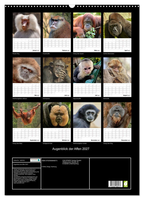 Augenblick der Affen 2027 (CALVENDO Wandkalender 2027)