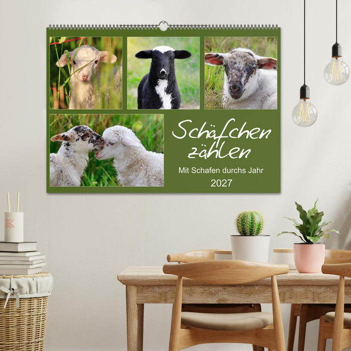 Schäfchen zählen - Mit Schafen durchs Jahr (CALVENDO Wandkalender 2027)