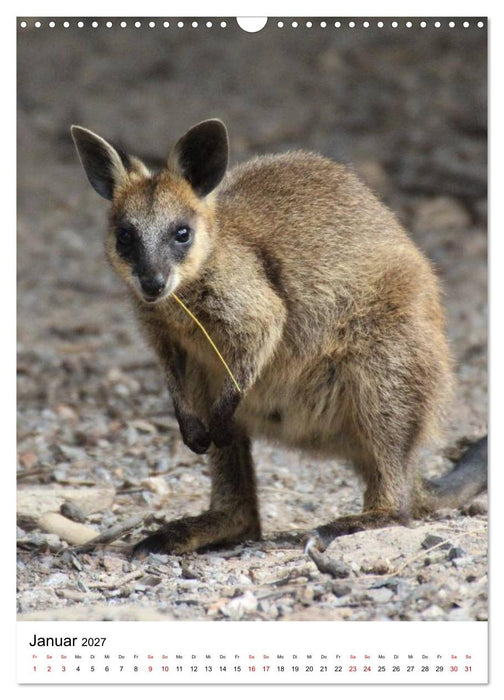Australien träumen und erleben (CALVENDO Wandkalender 2027)