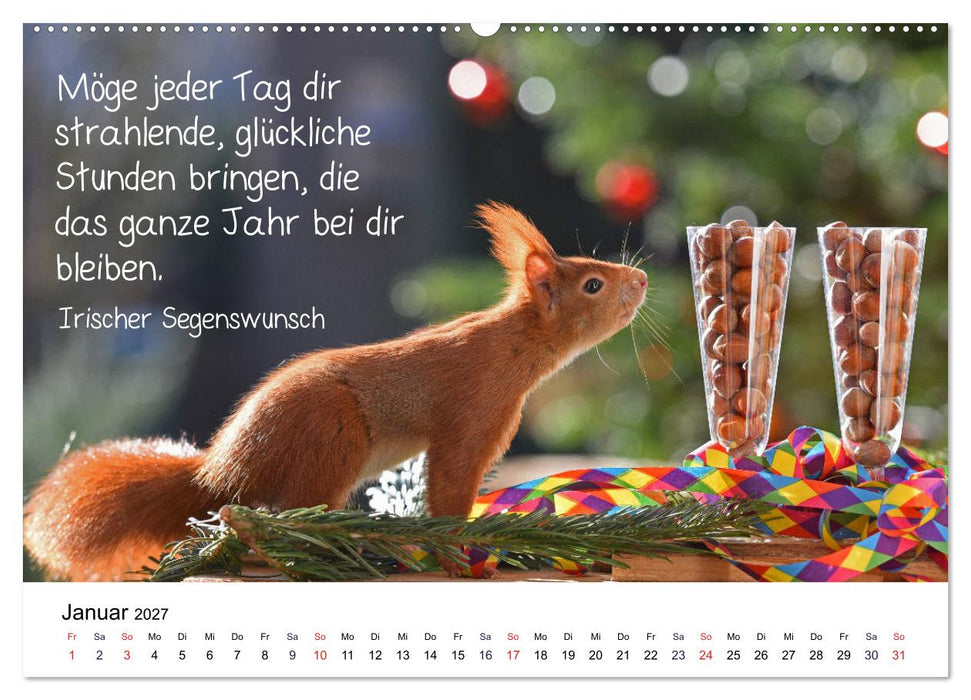Der literarische Eichhörnchen-Kalender (CALVENDO Premium Wandkalender 2027)