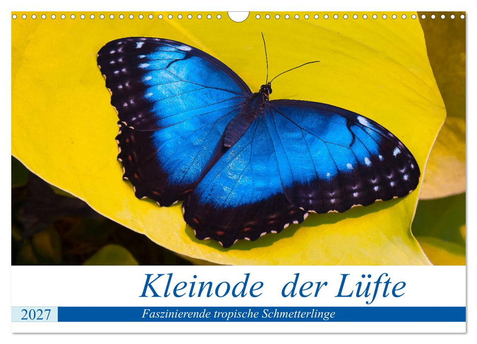 Kleinode der Lüfte - Faszinierende tropische Schmetterlinge (CALVENDO Wandkalender 2027)