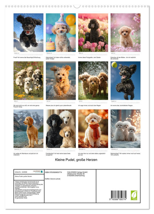 Kleine Pudel, große Herzen (CALVENDO Premium Wandkalender 2027)