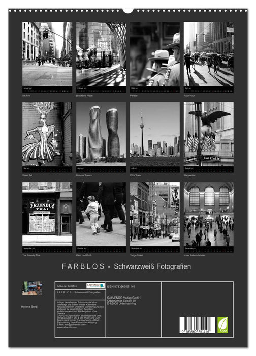 F A R B L O S - Schwarzweiß Fotografien (CALVENDO Premium Wandkalender 2027)