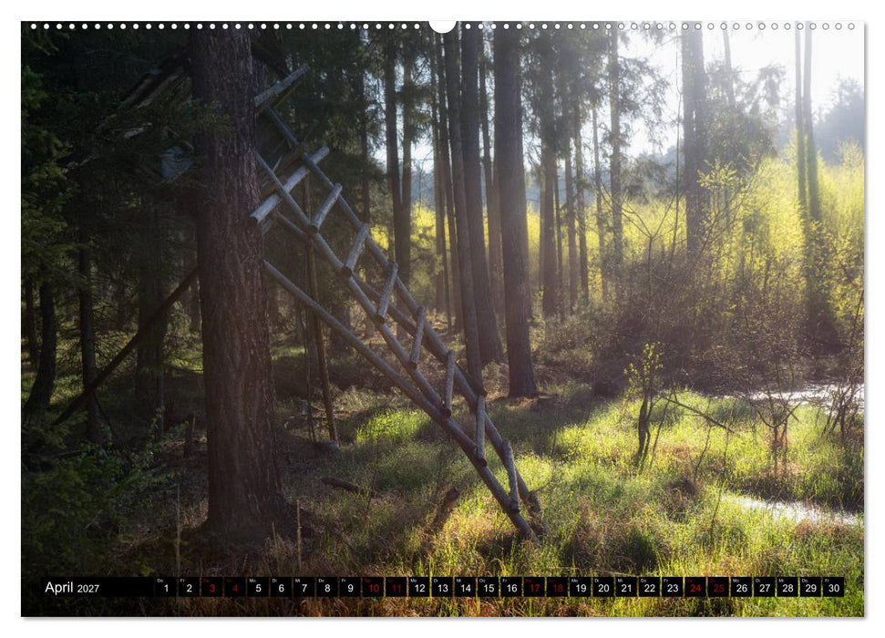 Kanzeln im Revier (CALVENDO Wandkalender 2027)