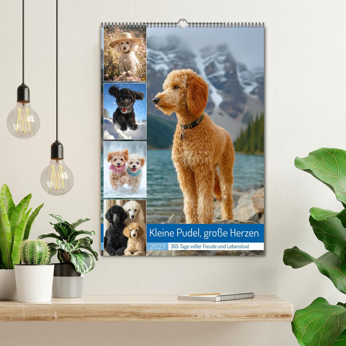 Kleine Pudel, große Herzen (CALVENDO Wandkalender 2027)