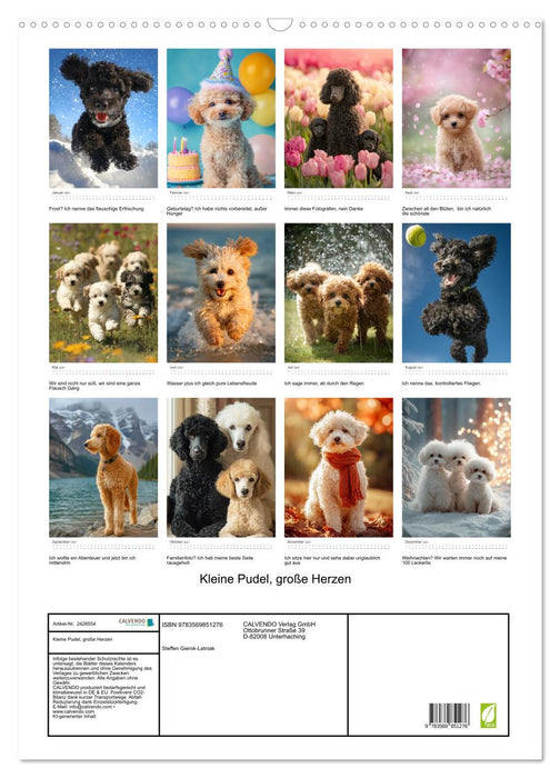 Kleine Pudel, große Herzen (CALVENDO Wandkalender 2027)