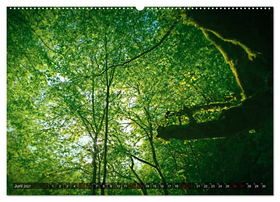 Slowenien - Soca Tal (CALVENDO Wandkalender 2027)