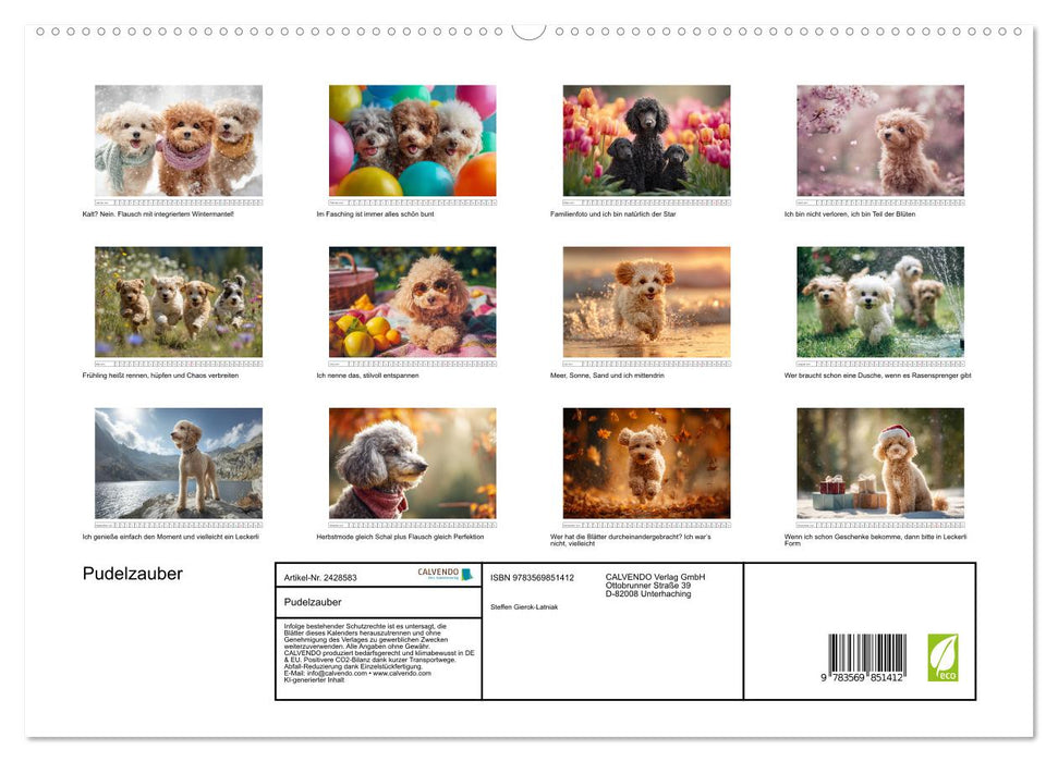 Pudelzauber (CALVENDO Premium Wandkalender 2027)