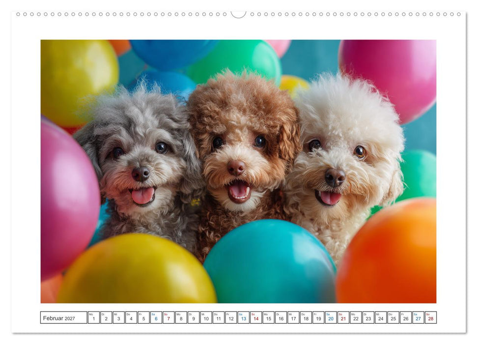 Pudelzauber (CALVENDO Premium Wandkalender 2027)