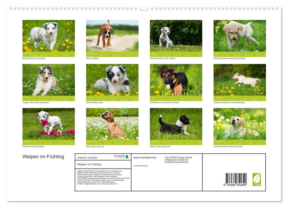 Welpen im Frühling (CALVENDO Premium Wandkalender 2027)