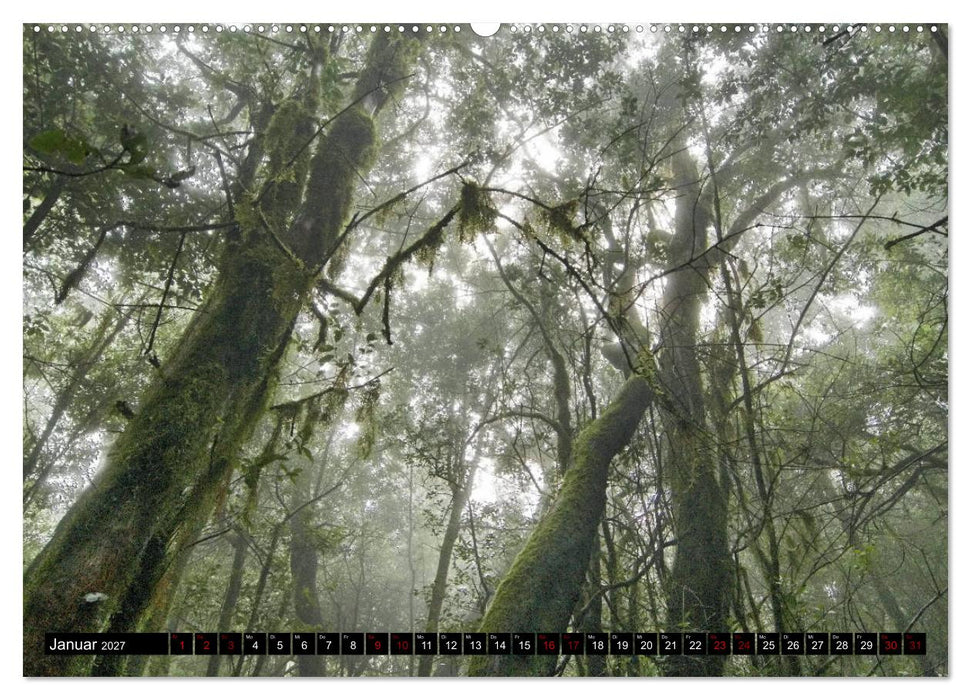 La Gomera - Ansichten und Aussichten (CALVENDO Premium Wandkalender 2027)
