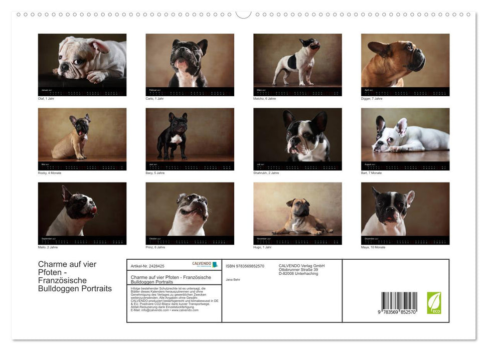 Charme auf vier Pfoten - Französische Bulldoggen Portraits (CALVENDO Premium Wandkalender 2027)