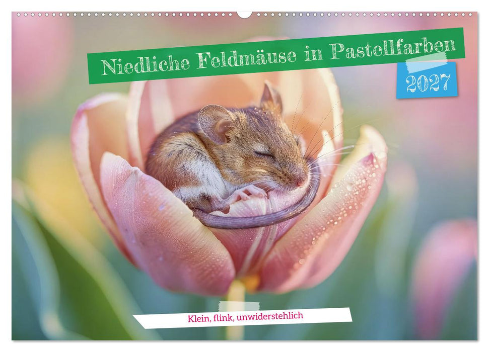 Niedliche Feldmäuse in Pastellfarben (CALVENDO Wandkalender 2027)
