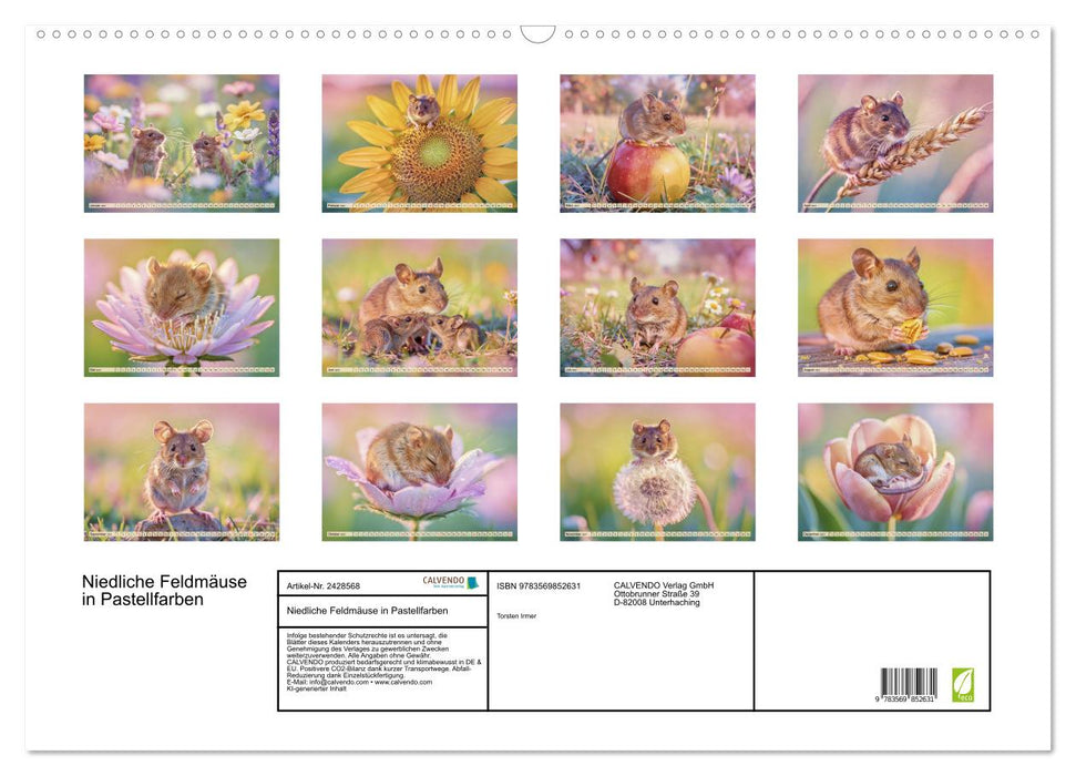 Niedliche Feldmäuse in Pastellfarben (CALVENDO Wandkalender 2027)