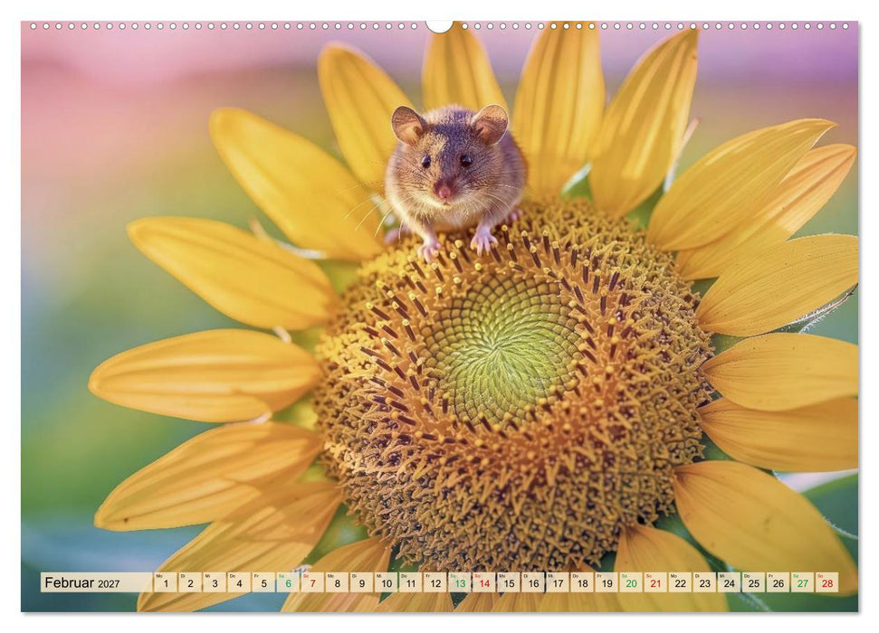 Niedliche Feldmäuse in Pastellfarben (CALVENDO Wandkalender 2027)