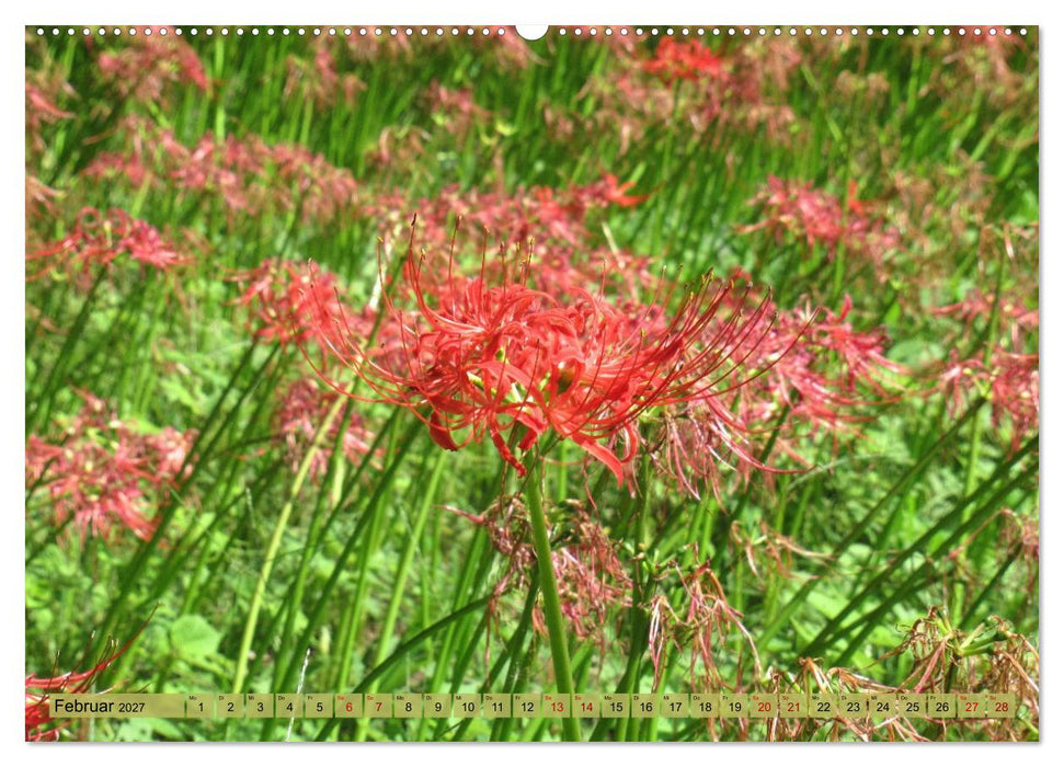 Die Natur Japans (CALVENDO Premium Wandkalender 2027)