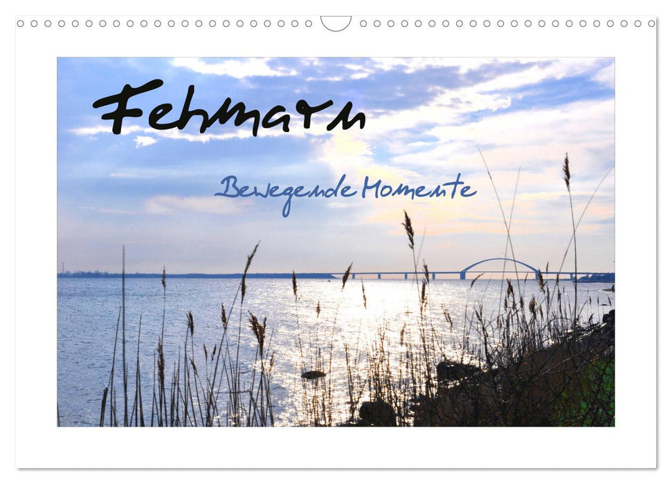 Fehmarn - Bewegende Momente (CALVENDO Wandkalender 2027)