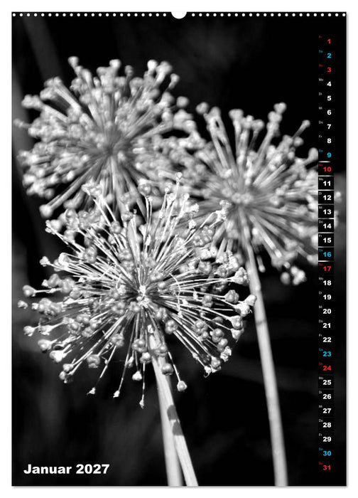 Blumige Graustufen - Schwarz und Weiß (CALVENDO Wandkalender 2027)