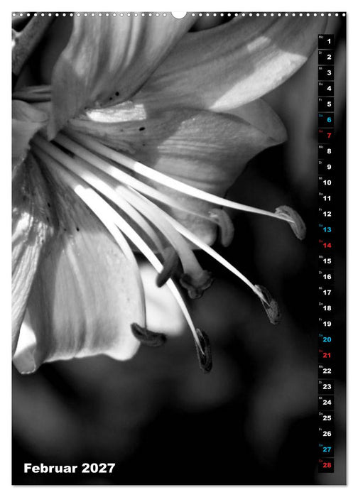 Blumige Graustufen - Schwarz und Weiß (CALVENDO Wandkalender 2027)